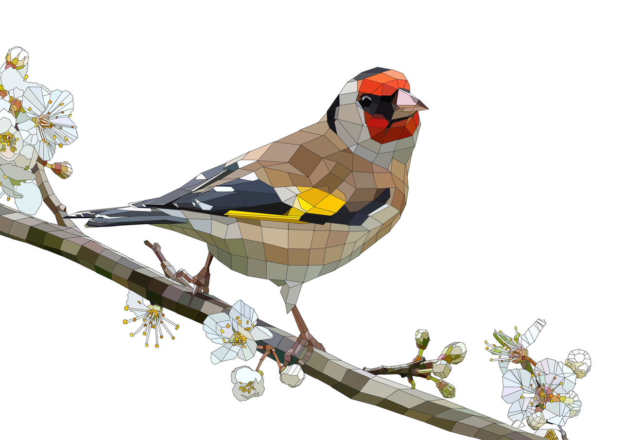 The Goldfinch