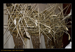 decoratie