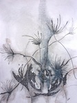 paintings