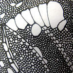 Close ups van diverse tekeningen.