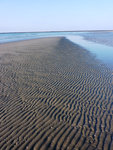 Zand/ Branding