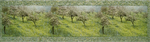 Landschappen