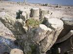 Ze stonden daar aan de kant van de rivier te brullen dat ze waren afgesneden en door een grijs aan stof en water en nog meer ruws van hun sokkel waren geduwd en gedoemd tot hetgene over was.... boze stronken...erg boze stronken bleven brullend over....