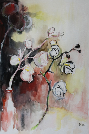 Orchideeen