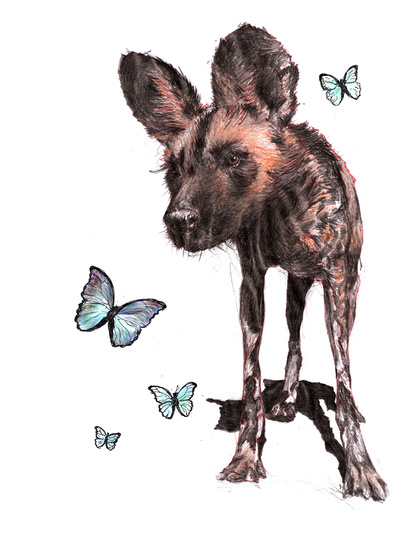 painted dog