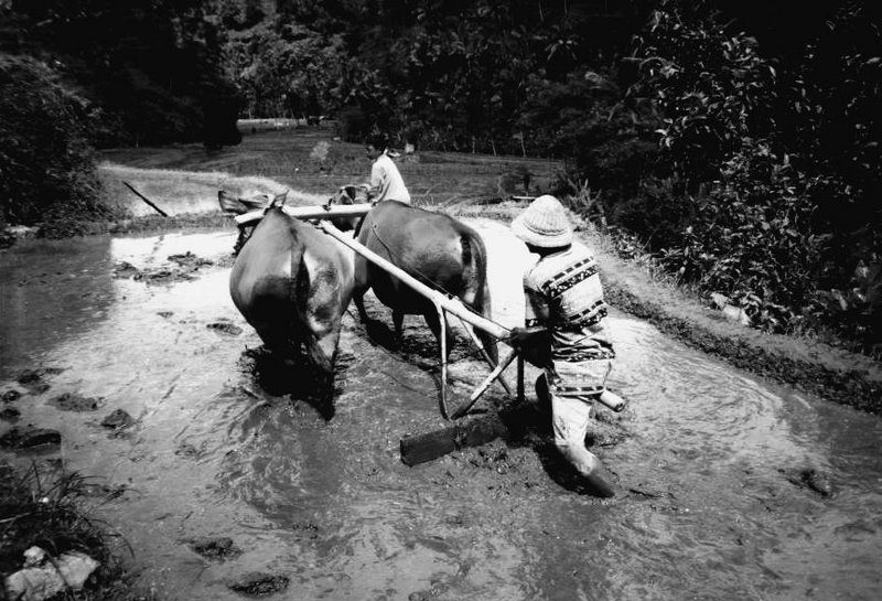 Bali 2003