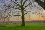 landscapes and architecture